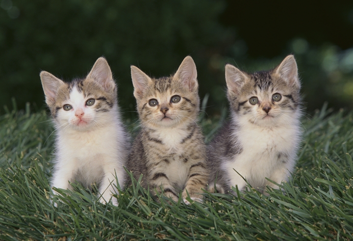 �����������������C���[�W