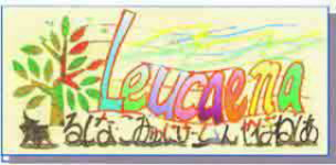 �����������������C���[�W